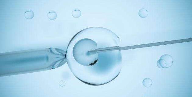 移植两个囊胚双胞胎几率你知道吗