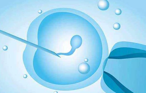 试管移植4级胚胎能成功吗，取决于胚胎的质量好不好