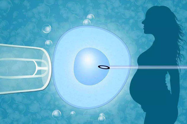 试管婴儿移植冻胚和鲜胚哪个的成功率比较高