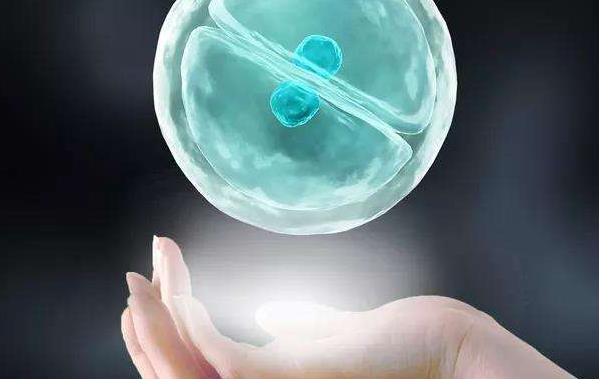 肇庆三代试管婴儿也会出现胎停的情况附试管胎停的几率